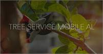 Tree Service Mobile AL 