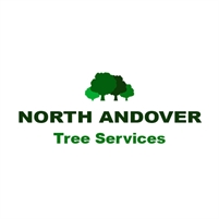 Tree Service Contractor Andover Henry Testa