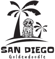 San Diego Goldendoodles Kailynn Bowling